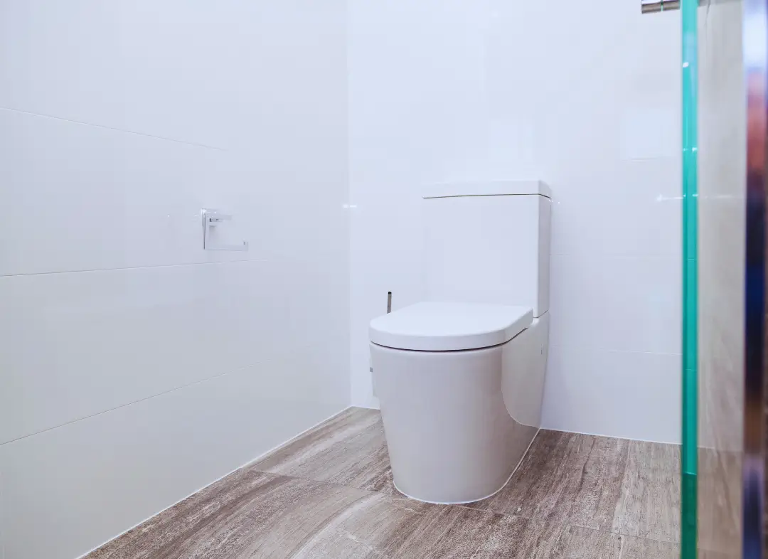 Remplacement de wc Grabels